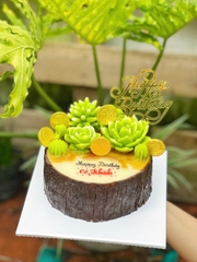 Rau Câu Sinh Nhật Nữ/Nam