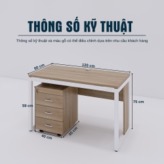 Bàn Làm Việc SMBLV0027 120cm x60cm