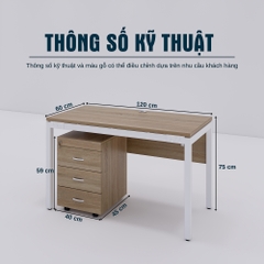 Bàn Làm Việc SMBLV0023 120cm x60cm