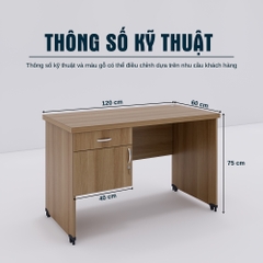 Bàn Làm Việc SMBLV0028 120cm x60cm