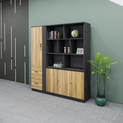 Tủ Giám Đốc SMTGDG015 180cm x200cm