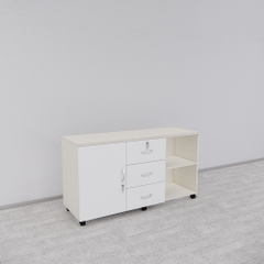 Tủ Hồ Sơ Di Động SMTDD001 120cm x65cm