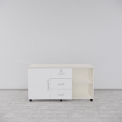 Tủ Hồ Sơ Di Động SMTDD001 120cm x65cm