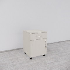 Tủ Hồ Sơ Di Động SMTDD002 40cm x55cm