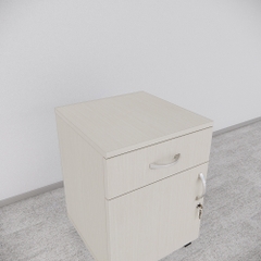 Tủ Hồ Sơ Di Động SMTDD002 40cm x55cm