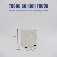 Tủ Hồ Sơ Di Động SMTDD002 40cm x55cm