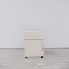 Tủ Hồ Sơ Di Động SMTDD002 40cm x55cm