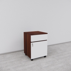 Tủ Hồ Sơ Di Động SMTDD003 40cm x55cm