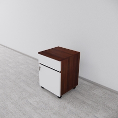 Tủ Hồ Sơ Di Động SMTDD003 40cm x55cm