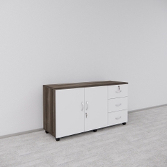 Tủ Hồ Sơ Di Động SMTDD004 120cm x65cm