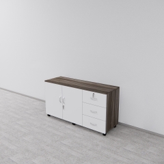 Tủ Hồ Sơ Di Động SMTDD004 120cm x65cm