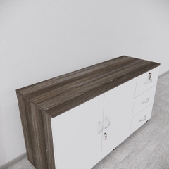Tủ Hồ Sơ Di Động SMTDD004 120cm x65cm