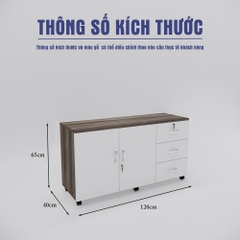 Tủ Hồ Sơ Di Động SMTDD004 120cm x65cm