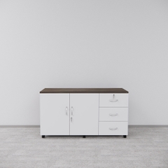 Tủ Hồ Sơ Di Động SMTDD004 120cm x65cm