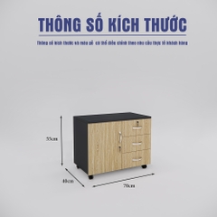Tủ Hồ Sơ Di Động SMTDD005 70cm x55cm