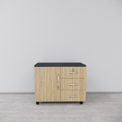 Tủ Hồ Sơ Di Động SMTDD005 70cm x55cm