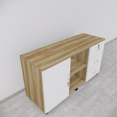 Tủ Hồ Sơ Di Động SMTDD006 120cm x65cm