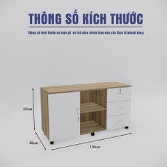 Tủ Hồ Sơ Di Động SMTDD006 120cm x65cm
