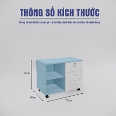 Tủ Hồ Sơ Di Động SMTDD007 70cm x55cm