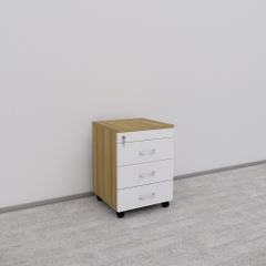 Tủ Hồ Sơ Di Động SMTDD008 40cm x55cm