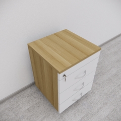 Tủ Hồ Sơ Di Động SMTDD008 40cm x55cm