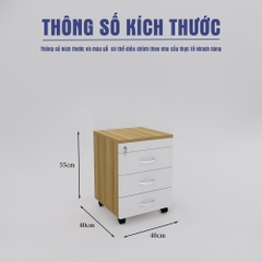 Tủ Hồ Sơ Di Động SMTDD008 40cm x55cm