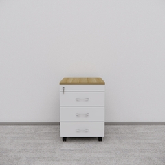 Tủ Hồ Sơ Di Động SMTDD008 40cm x55cm