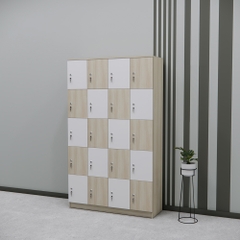 Tủ Locker SMTLKG003 200cm x120cm