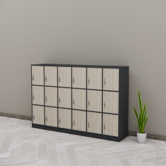 Tủ locker SMTLKG009 120cm x180cm
