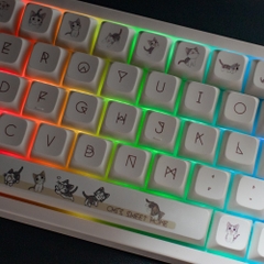 [In Stock] Keycap XDA PBT Dyesub Cheese Cat