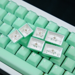 [In-stock] Keycap Cherry Aifei Pyga Jinyu Semi-Transparent ABS Doubleshot