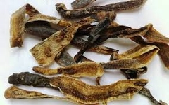 Đôi nét giới thiệu về địa long và những tác dụng của vị thuốc này.