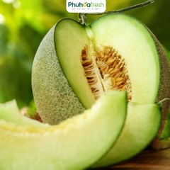 DƯA LƯỚI RUỘT XANH ICHIBA