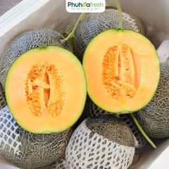 Dưa Lưới Mật E-Garden
