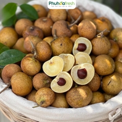 Nhãn Bắp Cải