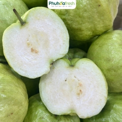 Ổi Nữ Hoàng (Đồng Tháp)