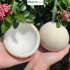 Dừa Trọc Việt Nam