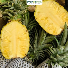 Dứa MD2 Hữu Cơ