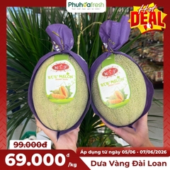 Dưa Đài Loan