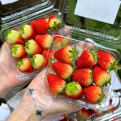 Dâu Tây Hàn Quốc - 250Gram