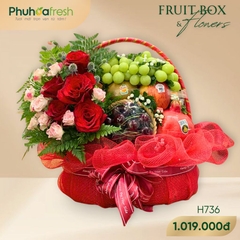 Quà Tặng Trái Cây - H736