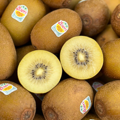 Kiwi Ruột Vàng New Zealand