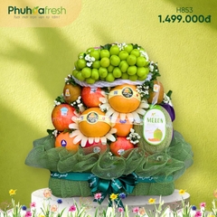 GIỎ TRÁI CÂY H853