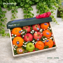 SET TRÁI CÂY _ H916