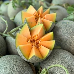 Dưa Lưới Mật E-Garden