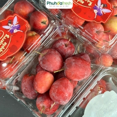 Táo Cherry Trung