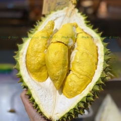 Sầu Riêng Musang King