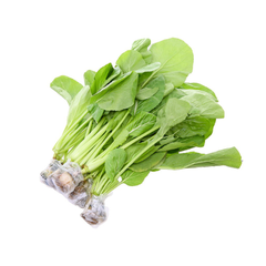 Cải Ngọt