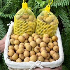 Nhãn Indo