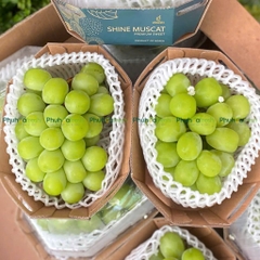 Nho Tươi Hàn Quốc